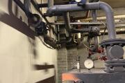 IMG_8316.jpeg