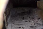 IMG_20261003_145006.jpg