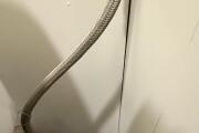 IMG_9985.jpeg
