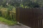 IMG_1949.JPEG