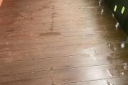 IMG_3712.jpeg