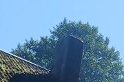20260805_121848.jpg
