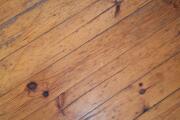 20260502_170000.jpg