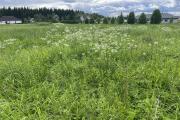 IMG_7670.jpeg