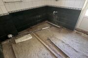 IMG_6858.jpeg