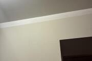 IMG_2357.jpeg