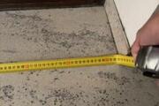 IMG_6993.jpeg
