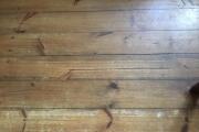 IMG_1682.jpeg
