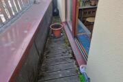 20260507_123633.jpg