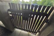 IMG_3149.jpeg