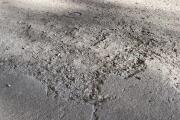 IMG_3451.jpeg