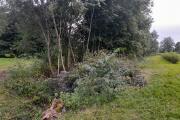 20260815_193219.heic