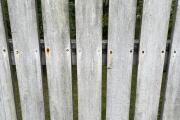 IMG_6249.jpeg