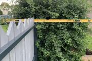 IMG_6199.jpeg