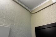 IMG_8669.jpeg