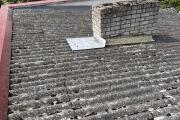 IMG_7995.jpeg