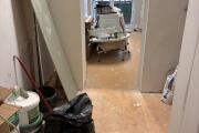IMG_2987.jpeg