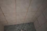 IMG-WA0003.jpg