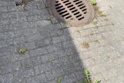 IMG_5471.jpeg