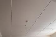 IMG_9577.jpeg