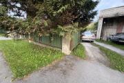 IMG_3146.jpeg