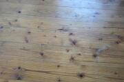 PXL_20260507_091904303.jpg
