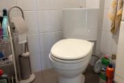 IMG_1426.jpeg