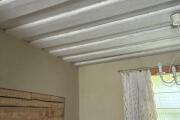 IMG_4779.jpeg