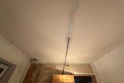 IMG_9122.jpeg