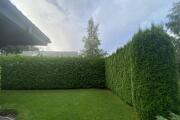 IMG_8928.jpeg