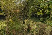 IMG20261021142836.jpg