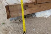 PXL_20260626_060334004.jpg