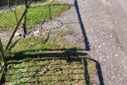 20260906_130917.jpg