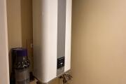 IMG_2719.jpeg