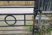 IMG_3510.jpeg
