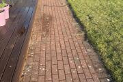 IMG_2727.jpeg