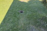 IMG_3904.jpeg