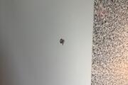 IMG_7823.jpeg