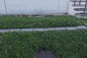 IMG_8602.jpeg