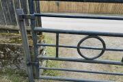 IMG_3512.jpeg