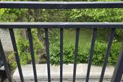 20260608_190314.jpg