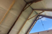 PXL_20251115_083841770.MP.jpg