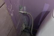 IMG_5166.HEIC
