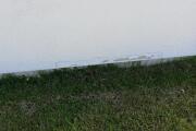 IMG_20260526_084001.jpg