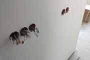 IMG20260603151210.jpg