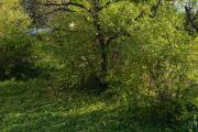 IMG20261021142758.jpg