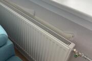 IMG_6940.jpeg