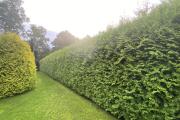IMG_8929.jpeg