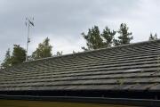 IMG_3935.jpeg