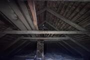 IMG_7488.jpeg